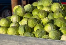 Росфинмониторинг контролирует фермерство экстремистов rosfinmonitoring kontroliruet fermerstvo ekstremistov-todey-ru-0