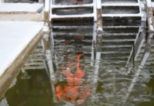 Роспотребнадзор Москвы проверил купели и качество воды перед Крещением rospotrebnadzor moskvy proveril kupeli i kachestvo vody pered kreshheniem-todey-ru-0