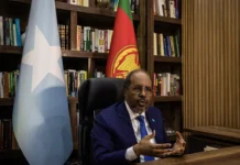 Саудовская Аравия, Египет и Сомали формируют новый альянс безопасности saudovskaya araviya egipet i somali formiruyut novyj alyans bezopasnosti-todey-ru-0