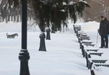 Снег и гололед в Москве не помеха планам, сообщают оптимисты sneg i gololed v moskve ne pomeha planam soobshhayut optimisty-todey-ru-0