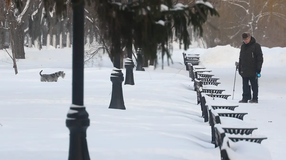 Погода в Москве с 19 по 23 января