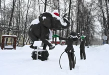 Татьяна Позднякова и Александр Шувалов: самый морозный день января tatyana pozdnyakova i aleksandr shuvalov samyj moroznyj den yanvarya-todey-ru-0