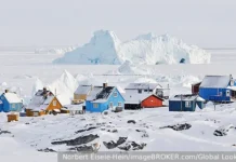 Трамп, Рютте: перспективы сделки по Гренландии и роли НАТО tramp ryutte perspektivy sdelki po grenlandii i roli nato-todey-ru-0