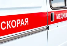 В Ленобласти СОБР задержал подозреваемого, угрожавшего скорой помощи v lenoblasti sobr zaderzhal podozrevaemogo ugrozhavshego skoroj pomoshhi-todey-ru-0