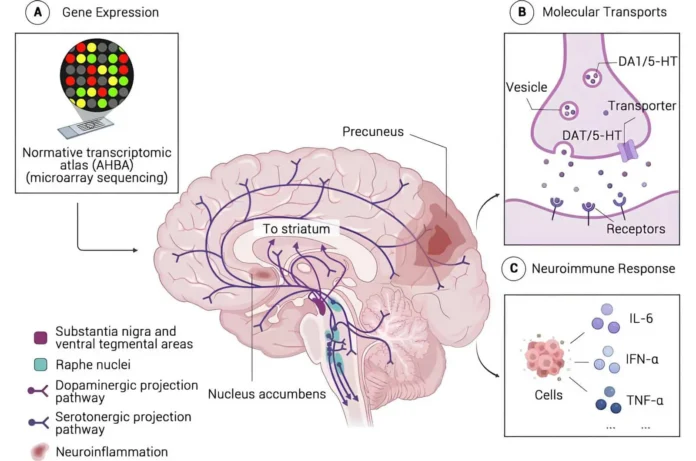 kak blizneczy pomogut v borbe s prokrastinacziej i sdvg-todey-ru-0