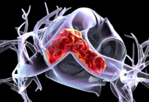 Кэтрин О’Хара следует советам Кондрахина, Гайфутдинова о ТЭЛА ketrin ohara sleduet sovetam kondrahina gajfutdinova o tela-todey-ru-0