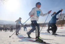 Лыжня России-2026 в Калиновке - рекордный старт Приморья lyzhnya rossii2026 v kalinovke rekordnyj start primorya-todey-ru-0