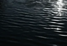 Петр Бирюков оценил готовность Мосводоканала к весеннему половодью petr biryukov oczenil gotovnost mosvodokanala k vesennemu polovodyu-todey-ru-0