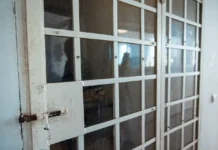 Полицейские Владивостока успешно задержали рецидивиста за серию краж policzejskie vladivostoka uspeshno zaderzhali reczidivista za seriyu krazh-todey-ru-0