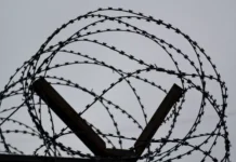 Полиция Владивостока пресекла закладчицу – суд вынес приговор policziya vladivostoka presekla zakladchiczu sud vynes prigovor-todey-ru-0