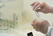 Роспотребнадзор: Петербург и Домодедово контролируют оспу обезьян rospotrebnadzor peterburg i domodedovo kontroliruyut ospu obezyan-todey-ru-0