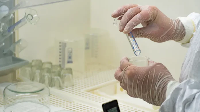 rospotrebnadzor peterburg i domodedovo kontroliruyut ospu obezyan-todey-ru-0