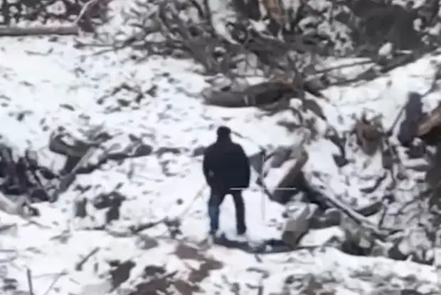 Вводная картинка