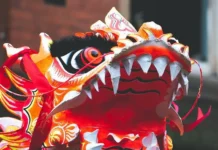 Как ООО, ИП и китайцы развивают онлайн-бизнес на маркетплейсах РФ kak ooo ip i kitajczy razvivayut onlajnbiznes na marketplejsah rf-todey-ru-0