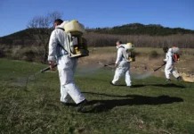 Клещи Hyalomma активны в трёх регионах, есть и хорошие новости kleshhi aktivny v tryoh regionah est i horoshie novosti-todey-ru-0