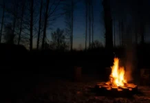 Лесхоз Подмосковья: правила поведения в лесу и штрафы за костры leshoz podmoskovya pravila povedeniya v lesu i shtrafy za kostry-todey-ru-0