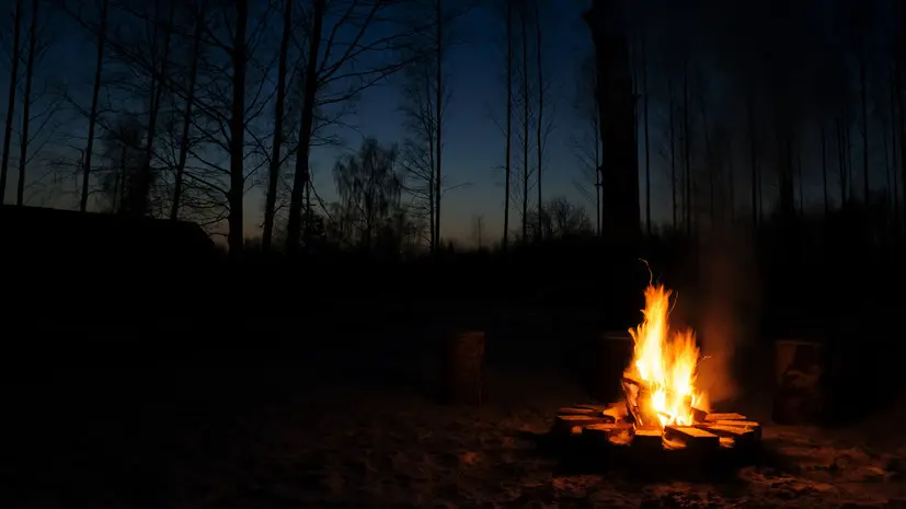 В Подмосковье предупредили о штрафах за разведение костров в лесу