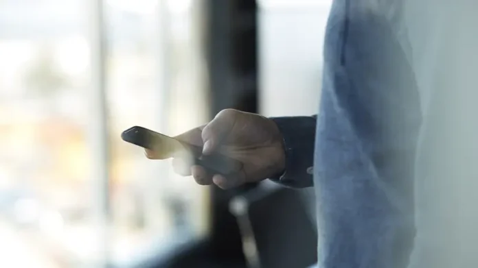 marina pavlova iz niu vshe o bankah i operaczii v sbp s 2026 goda-todey-ru-0