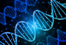 Молекулярные биологи изменили ДНК эмбрионов CRISPR/Cas9 против ВИЧ molekulyarnye biologi izmenili dnk embrionov 9 protiv vich-todey-ru-0