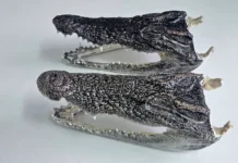 Таможенники Новосибирска и ФТС контролируют сувениры Таиланда tamozhenniki novosibirska i fts kontroliruyut suveniry tailanda-todey-ru-0