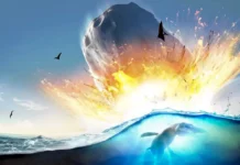 Возрождение планктона после падения астероида Чиксулуб vozrozhdenie planktona posle padeniya asteroida chiksulub-todey-ru-0