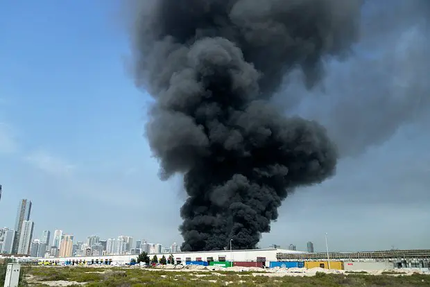 Вводная картинка