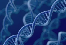 Биологи МГУ и ИИ раскрыли функции белков хроматина biologi mgu i ii raskryli funkczii belkov hromatina-todey-ru-0