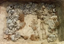 drevnie grobniczy imdandzhoen raskryli semejnye svyazi silla i sunchzhan-todey-ru-0