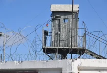 istoriya dmitriya kichi iz azova stavshego kapitanom vne zakona-todey-ru-0