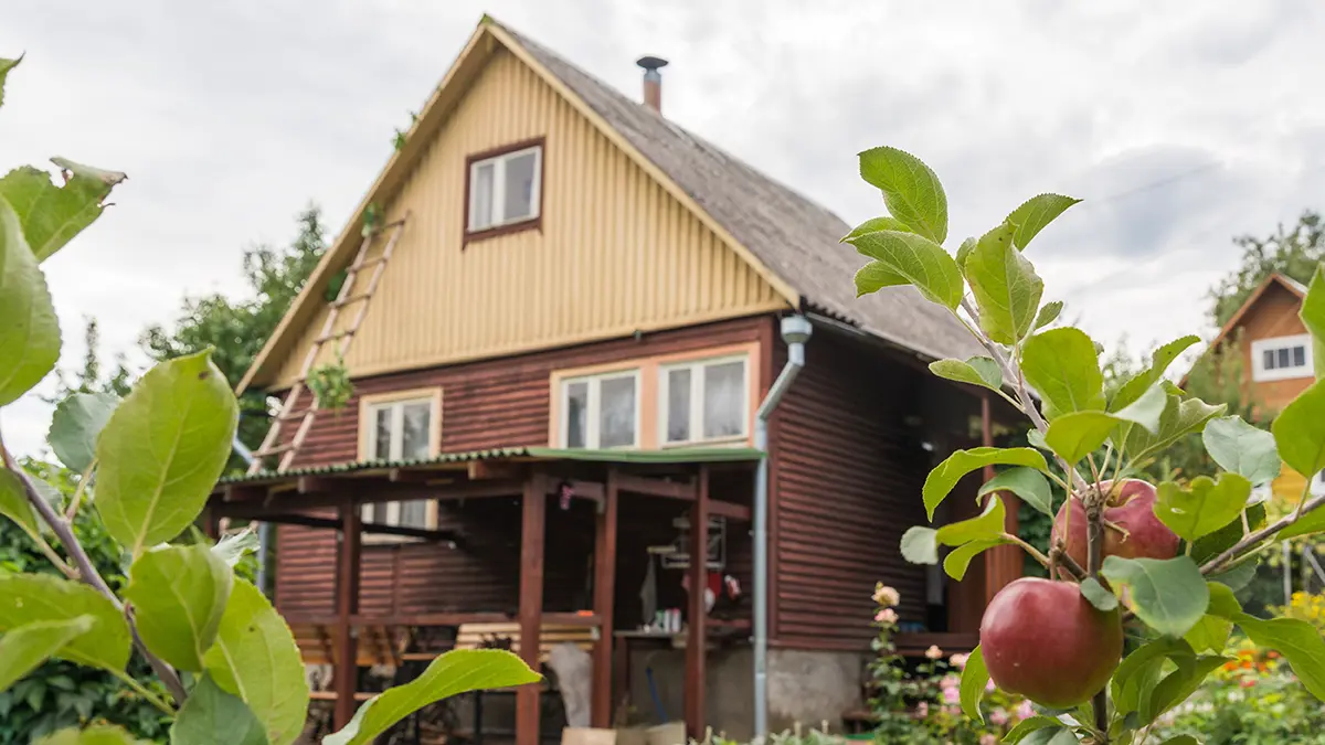 Почему стоит выбирать металлочерепицу для крыш 