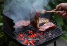 nadezhda borzenko obyasnyaet pravila bezopasnogo otdyha s mangalom-todey-ru-0