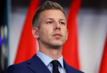 peter madyar o prepyatstviyah dlya ukrainy na puti v es-todey-ru-0