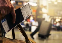 sendvichi i roga vyzvali udivlenie u tamozhni vnukovo-todey-ru-0