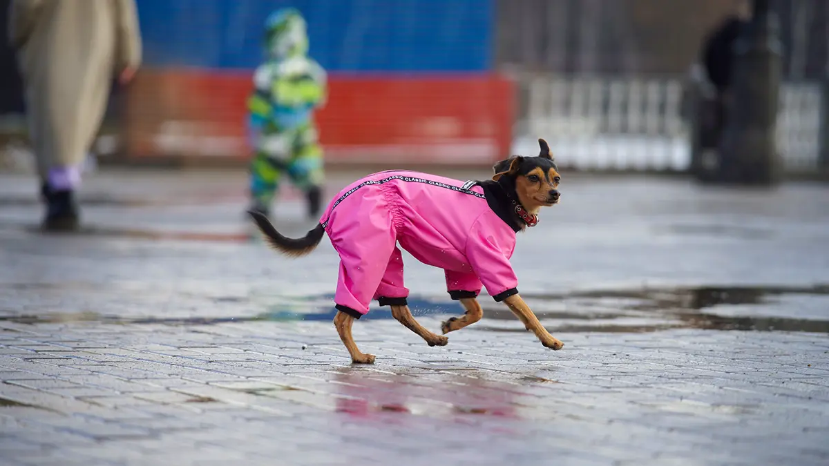 Какой будет погода в Москве до конца апреля 2026