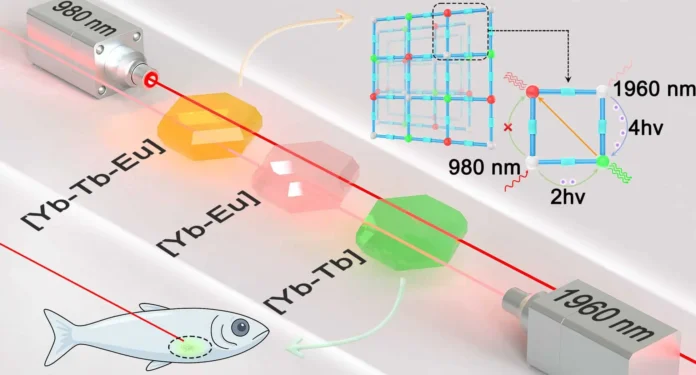 unikalnyj material inh so ran i itmo dlya diagnostiki tkanej-todey-ru-0