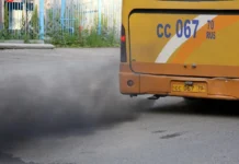 Лимонен и оксиды азота влияют на мозг человека limonen i oksidy azota vliyayut na mozg cheloveka-todey-ru-0