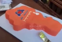 Оптимизм Никол Пашиняна и вдохновляющие традиции в Армении и США optimizm nikol pashinyana i vdohnovlyayushhie tradiczii v armenii i ssha-todey-ru-0
