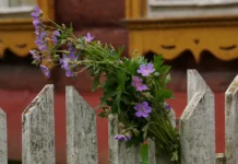 plesenskoe udivitelnaya podderzhka postradavshej devochki narofominska-todey-ru-0