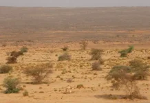 Нигер и пустыня — Delta Air Lines, история преодоления жажды niger i pustynya istoriya preodoleniya zhazhdy-todey-ru-0