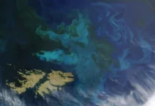NASA: оптимизм для океанов, фитопланктон борется с изменением климата optimizm dlya okeanov fitoplankton boretsya s izmeneniem klimata-todey-ru-0