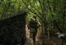Верховная рада: Железняк о бюджете без роста зарплат военным verhovnaya rada zheleznyak o byudzhete bez rosta zarplat voennym-todey-ru-0