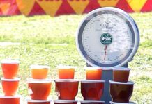 Исследование качества меда в российских магазинах: результаты экспертизы b5285b90-7434-42e2-abe5-5578bb552d1b-6799da5b