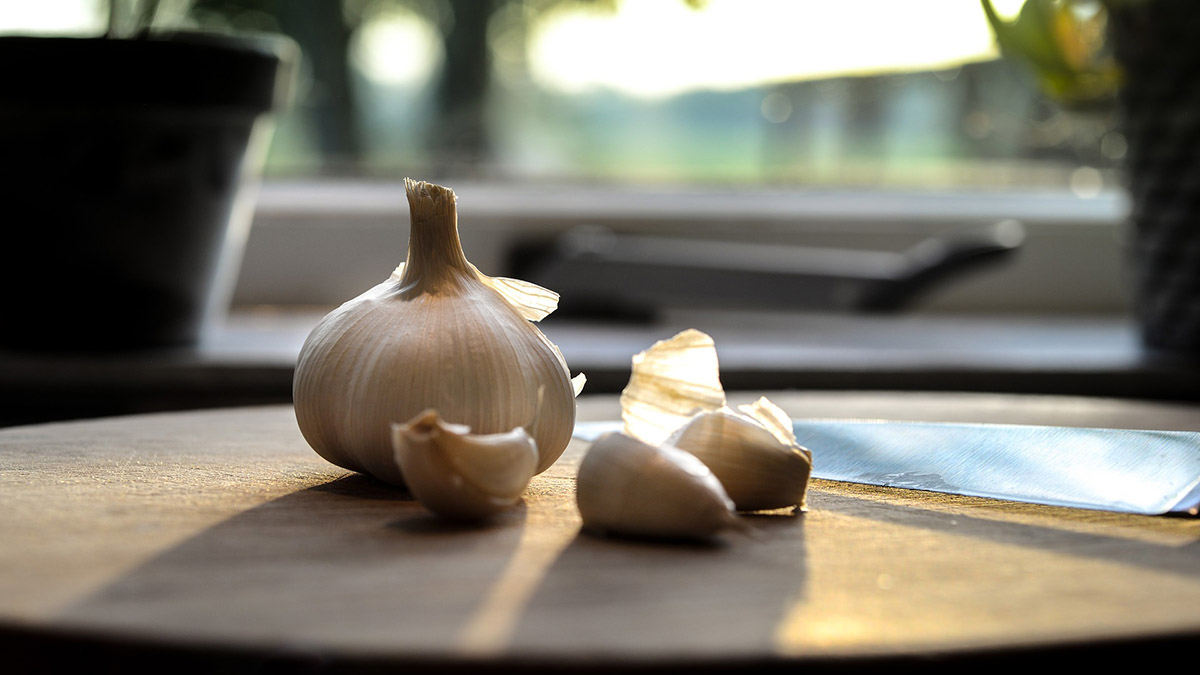 Польза и вред чеснока