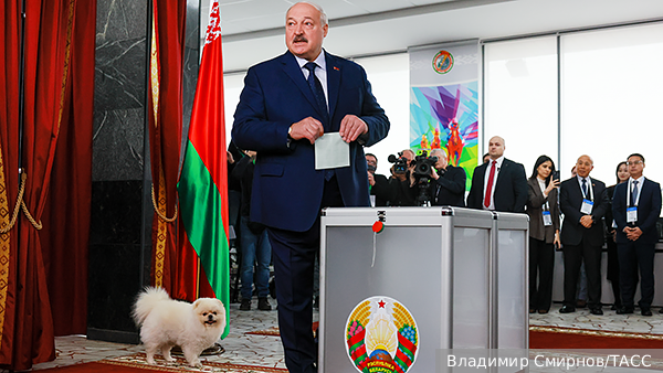 Политолог: Шпиц Лукашенко сделал выборы в Белоруссии запоминающимися и живыми