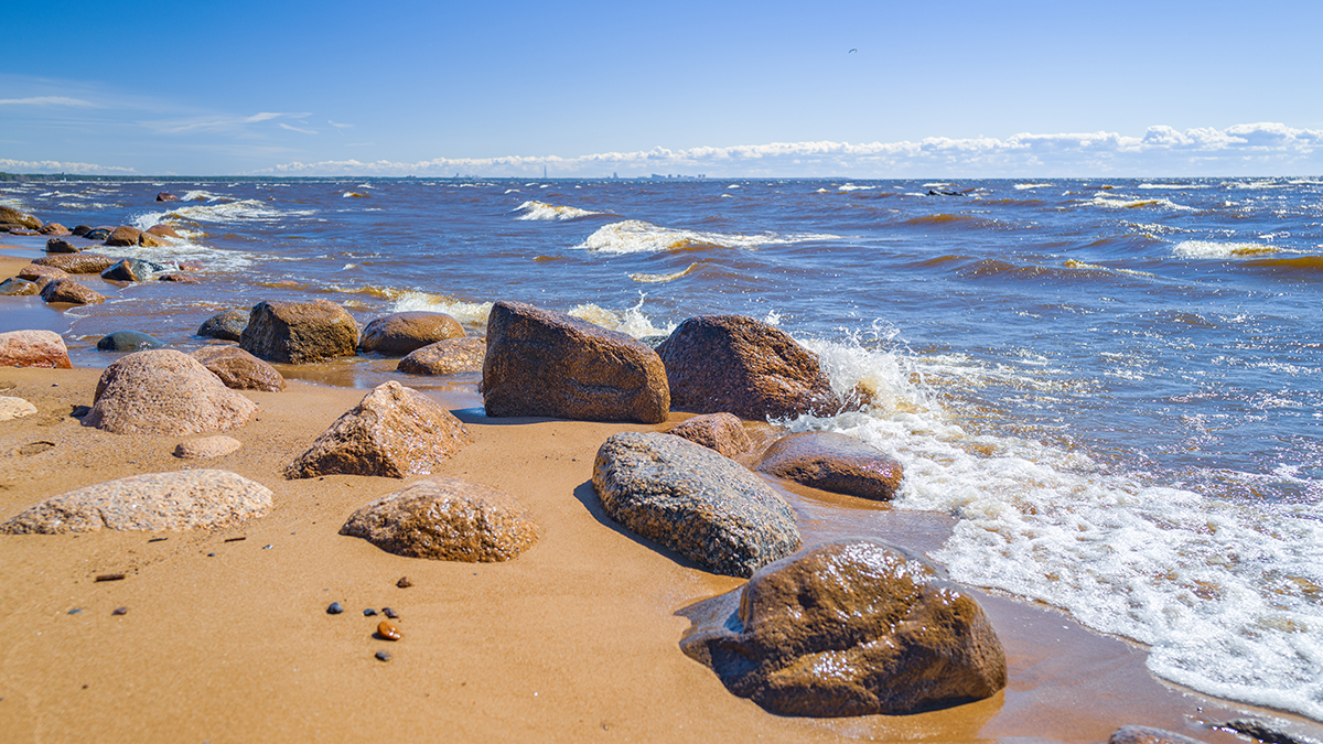 Историк Мягков призвал переименовать Финский залив в Санкт-Петербургский