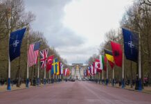 Военный альянс усиливает контроль над акваторией Балтики b56291d9-24ee-4ec9-ba67-119f9fd5b3e8-67e18ff3