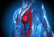 Важные факторы влияния на здоровье сердечно-сосудистой системы bb148bbe-307b-45aa-80e5-25d93f70f127-67dc2d91