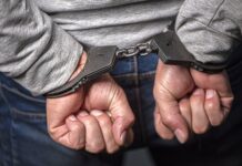 Правоохранители пресекли преступные действия тренера в спортивной школе d6a09a6e-da40-4c1c-93af-a927859ed46f-67de936e