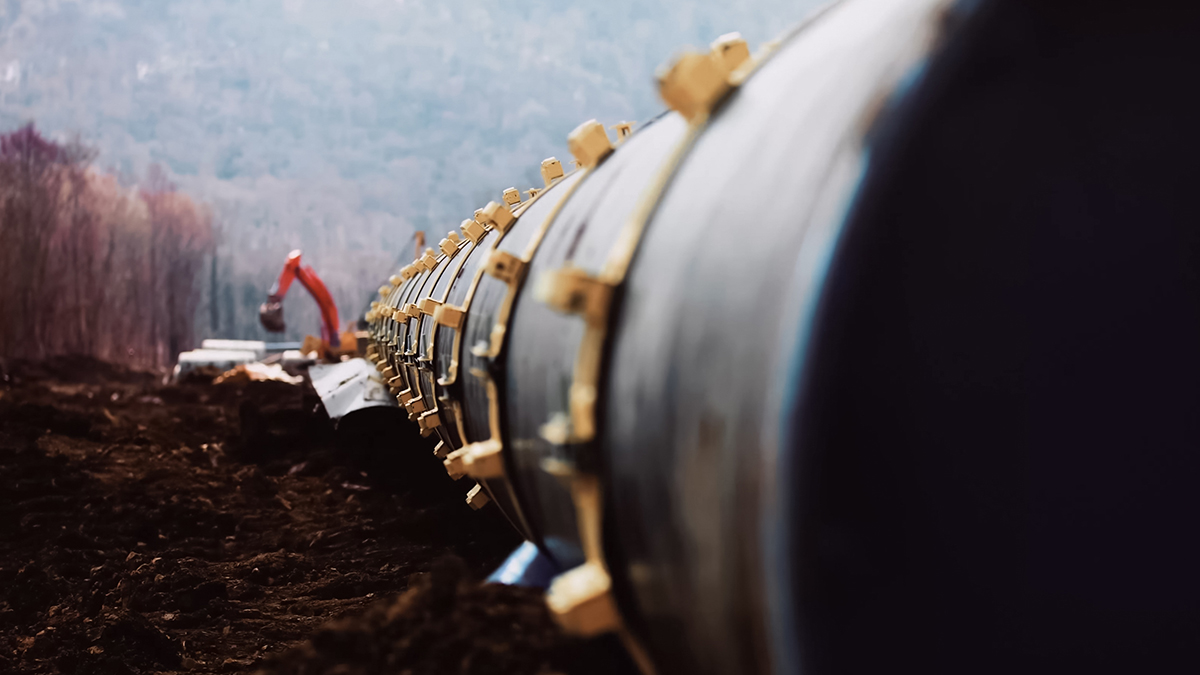 Причины аномального теплого января