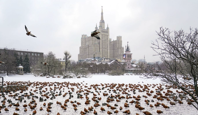 4 февраля в Москве ожидаются небольшие осадки о гололедица